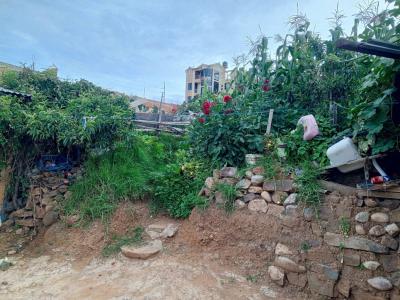 PASAJE SAN PABLO N 21, ZONA ALTO SAN PEDRO , Sucre, Chuquisaca 00001, Bolivia