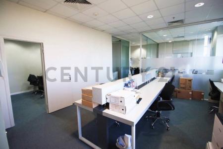 Las Lomas, Asunción 00001, Paraguay