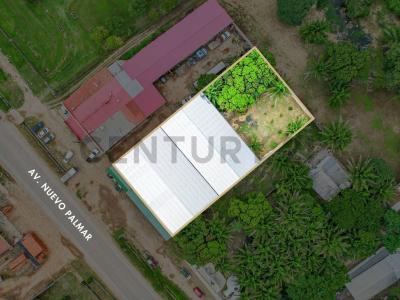 Sur, Santa Cruz 00001, Bolivia