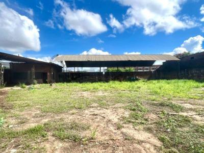 Este, Santa Cruz 00000, 玻利维亚