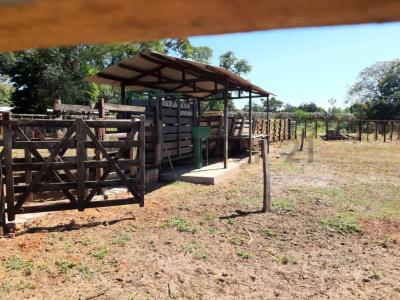 Pirebebuy, Cordillera 00001, Paraguai