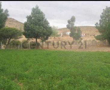 Sucre, Chuquisaca 0000, Bolivie