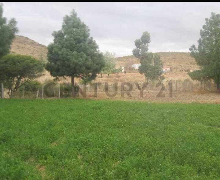 Sucre, Chuquisaca 0000, Bolivie