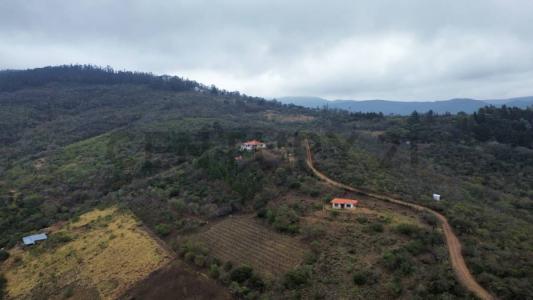 Sur, Santa Cruz 00001, Bolivia