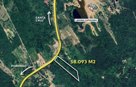 Urubo, Santa Cruz 00001, Bolivia