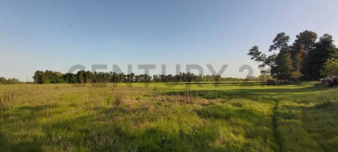 c. cam. a. navarro y dr. héctor cámpora , General Rodríguez, GBA Oeste 00001, Argentina