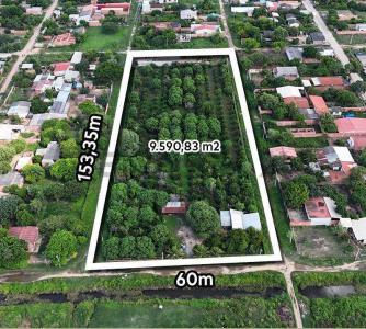 Sur, Santa Cruz 0000, Bolivia