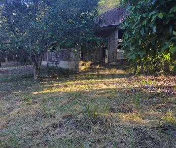 Nueva Trinidad I., Beni 00001, Bolivia