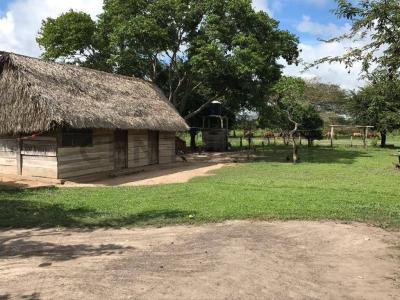 Moxos, Beni 00001, Bolivia