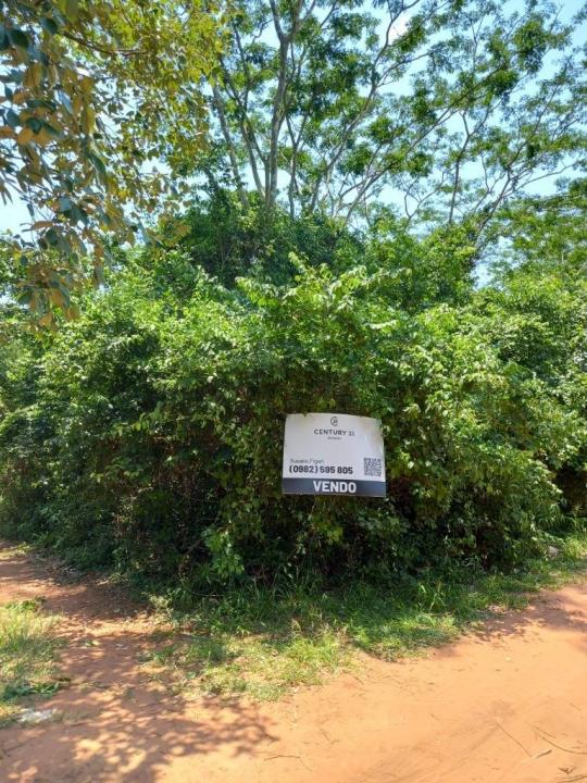 Ypané, Central 00001, Paraguay