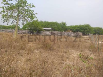 Benjamín Aceval, Presidente Hayes 00001, Le Paraguay