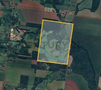 Minga Guazú, Alto Paraná 00001, Paragwaj