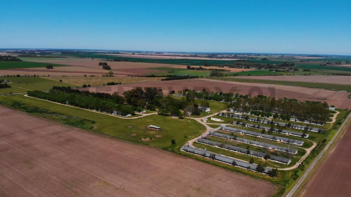 ruta 193 & camino a andonae sin numero, Campana, GBA Norte 00001, Arjantin