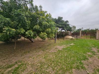 Mariano Roque Alonso, 中央 00001, 巴拉圭