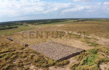 Este, Santa Cruz 0000, Bolivia