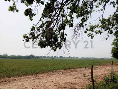 Este, Santa Cruz 0000, Bolivie