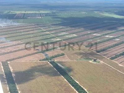 Este, Santa Cruz 0000, Bolivia