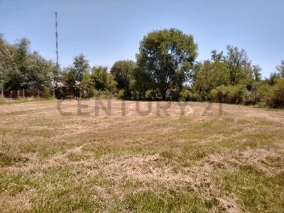 corrientes ecuador, Oliveros, Santa Fe 00001, Argentine