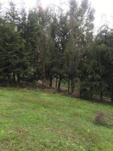 Este, Cochabamba 00001, Bolivia