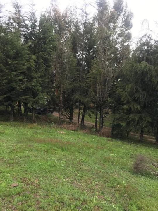 Este, Cochabamba 00001, 볼리비아