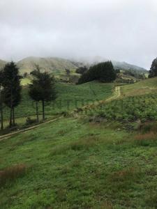 Este, Cochabamba 00001, 볼리비아