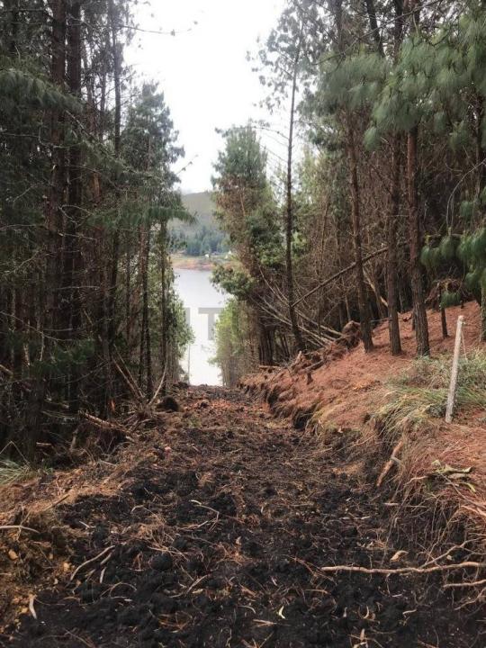 Este, Cochabamba 00001, Боливия