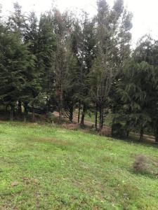 Este, Cochabamba 00001, Боливия