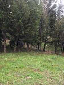 Este, Cochabamba 00001, Боливия