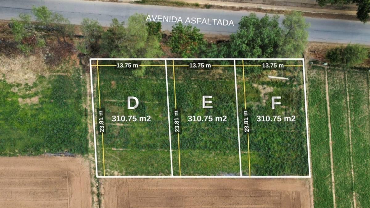 Sur, Cochabamba 00001, Bolivia