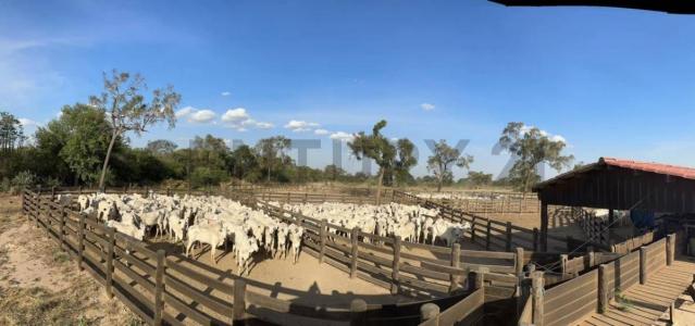 Urubo, Santa Cruz 00001, Bolivie