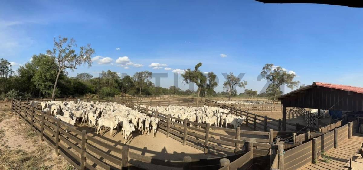 Urubo, Santa Cruz 00001, Bolivya