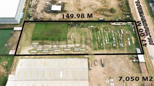 Este, Santa Cruz 0000, Bolivia