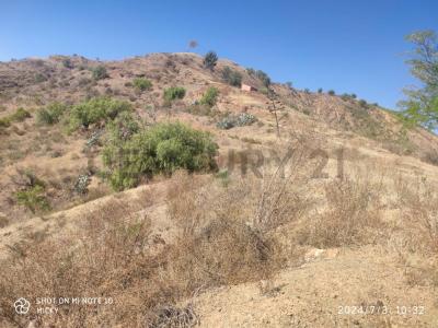 Sucre, Chuquisaca 00001, Bolivia