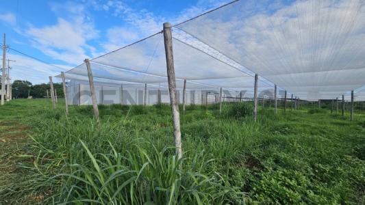 Itacurubí De La Cordillera, Cordillera 00001, Paraguai