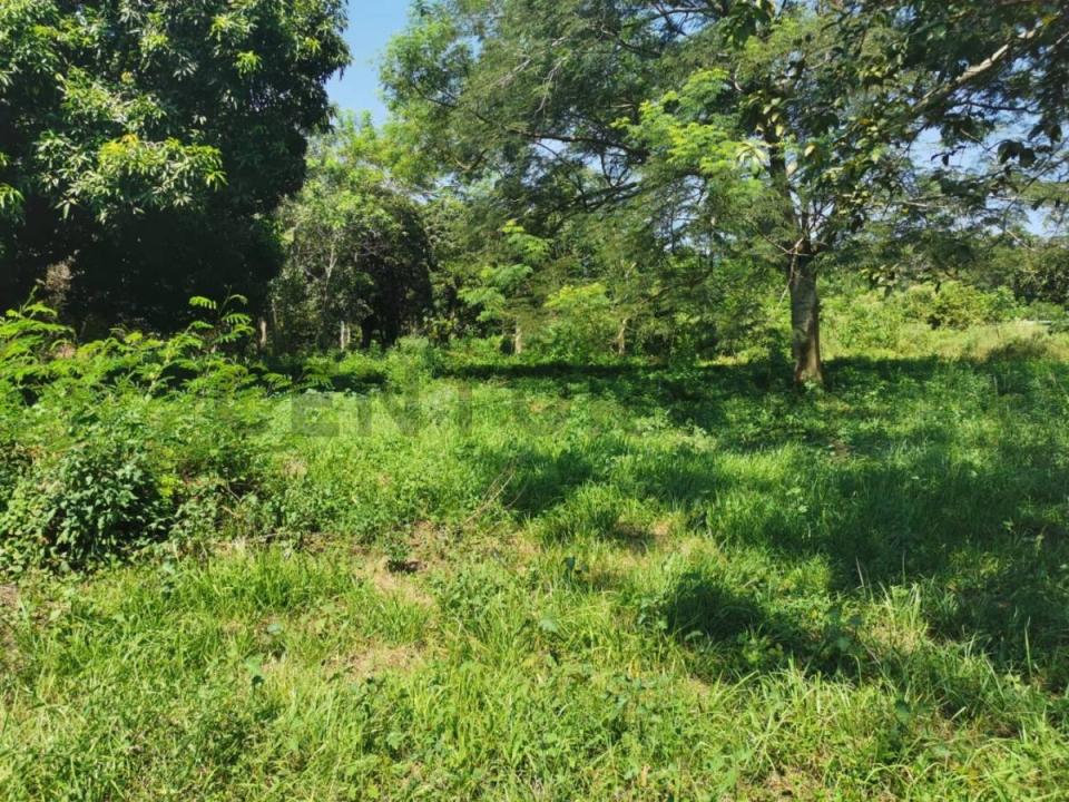 Itacurubí De La Cordillera, Cordillera 00001, Paraguay