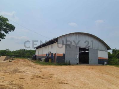 Urubo, Santa Cruz 00001, Bolivie