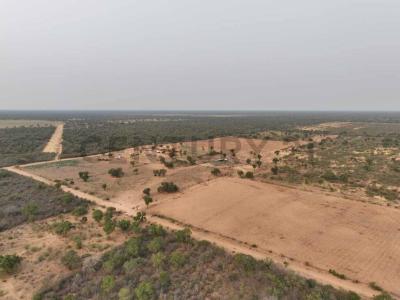 Cruce Boquerón, Boquerón 00001, Paraguay