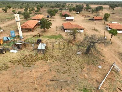 Cruce Boquerón, Boquerón 00001, Paraguay