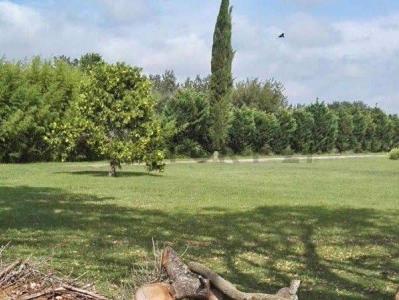 RN11. 11, Oliveros, Santa Fe 00001, Argentine