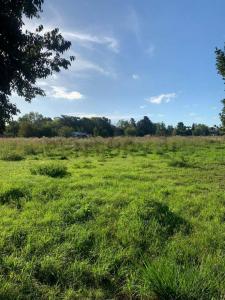 28 bis a 30 y 453 y 454 S/N, La Plata, GBA Sur 00001, Argentina