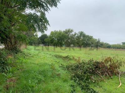 28 bis a 30 y 453 y 454 S/N, La Plata, GBA Sur 00001, Argentina