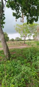 Este, Santa Cruz 0000, Bolivia