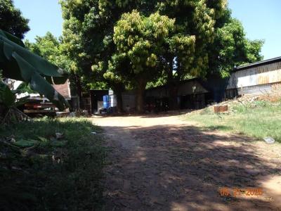 Fernando De La Mora, Central 00001, Paraguay