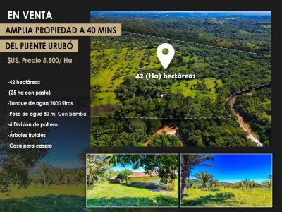 Urubo, Santa Cruz 00001, Bolivie