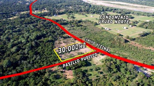 Urubo, Santa Cruz 00001, Bolivia