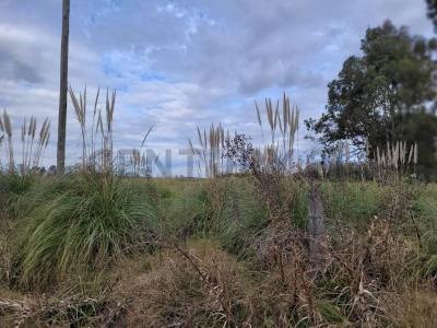 paso de los libres 600, Ezeiza, GBA Sur 00001, Argentina