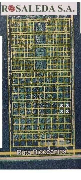 Mariscal José Félix Estigarribia, Boquerón 00001, 巴拉圭