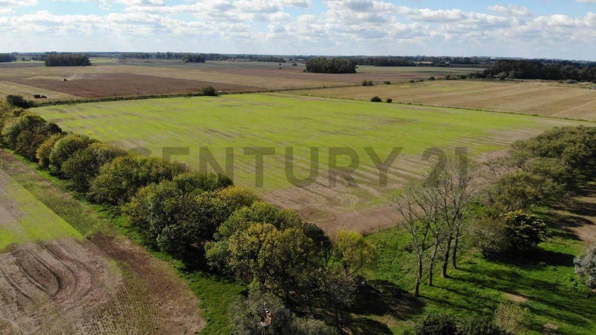 Camino de Las Siete Vueltas S/N, Zarate, GBA Norte 00001, 아르헨티나