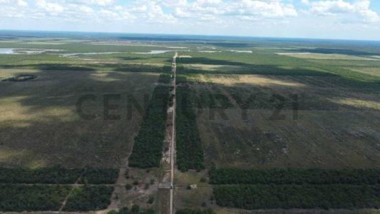 Loma Plata, Boquerón 00001, 巴拉圭