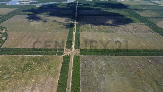 Loma Plata, Boquerón 00001, 巴拉圭